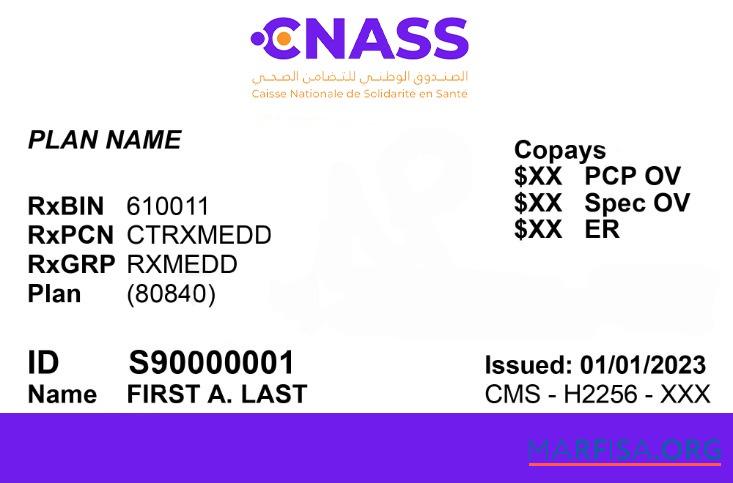 Realistic Mauritania health insurance card template